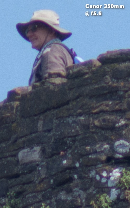 Soligor / Cunor et al 350mm F5.6 Lens Reviews - Tokina Lenses